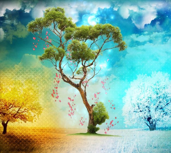 Дерево сезонов