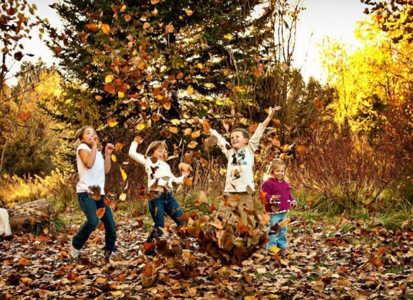 Осенние арты