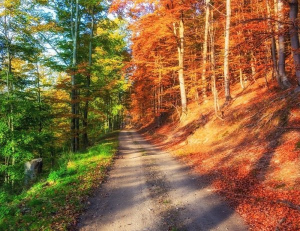 Смена сезонов