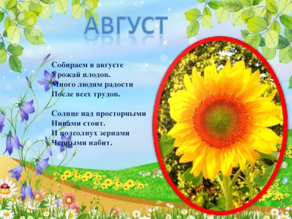Детские стихи про август