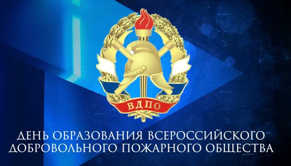 ВДПО логотип