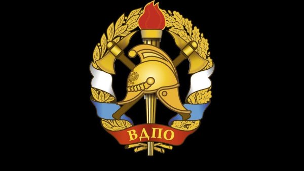 День ВДПО