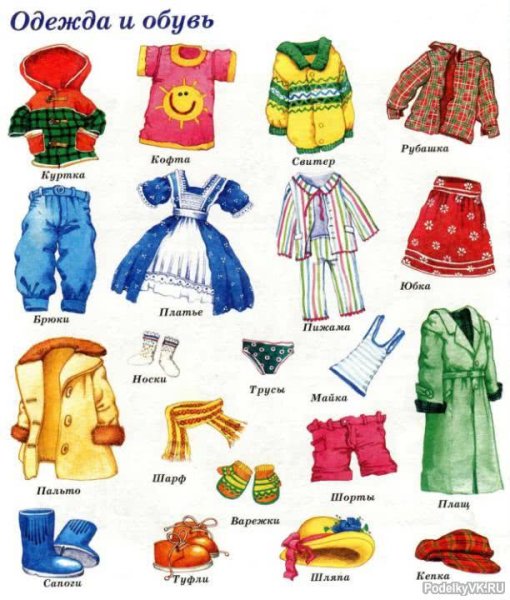 Одежда карточки для детей
