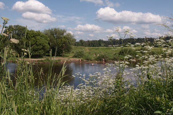 Купаться в реке