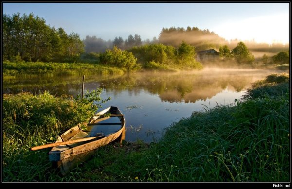Тарусская река пляж