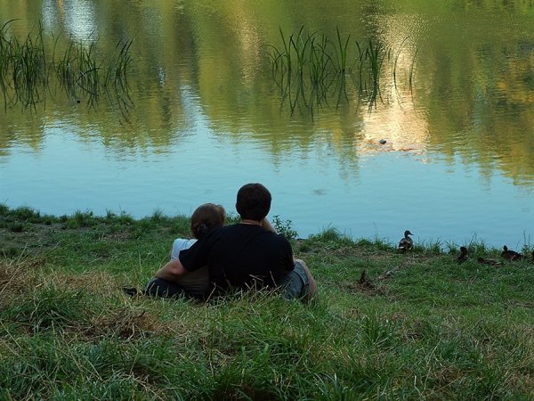 Русская природа поля речка Березка