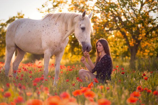 Фотосессия с лошадью летом