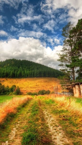 Профессиональные пейзажи