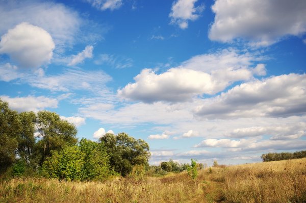 Позднее лето