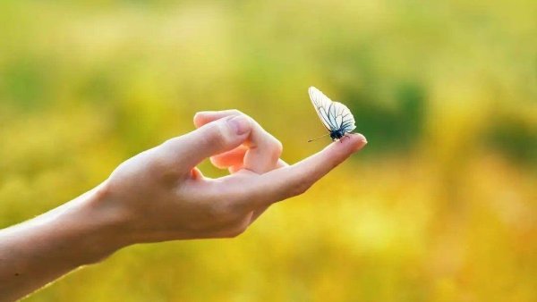 Творческое лето