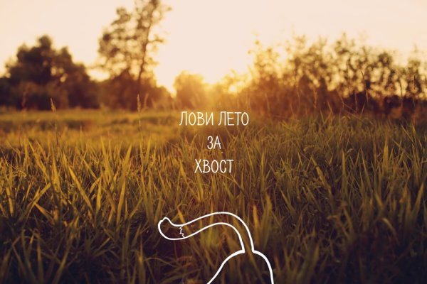 Ромашки в руках