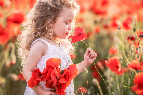 Веселое лето