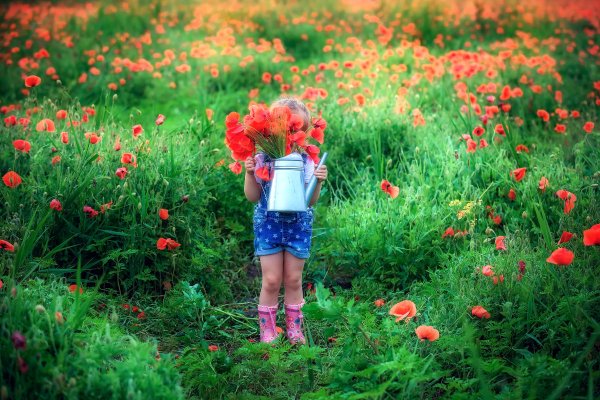 Настроение лето