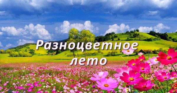 Разноцветное лето