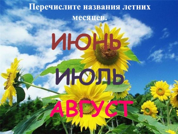 Летние месяцы