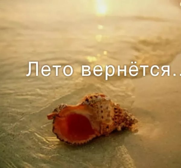 Лето возвращается