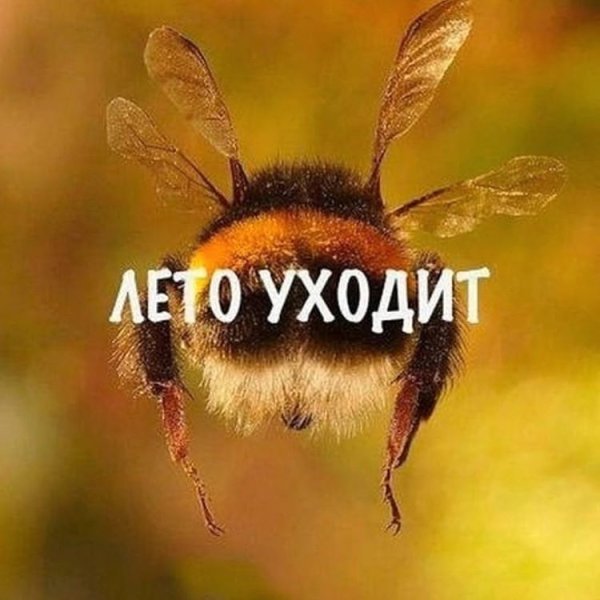 Вот и закончилось лето