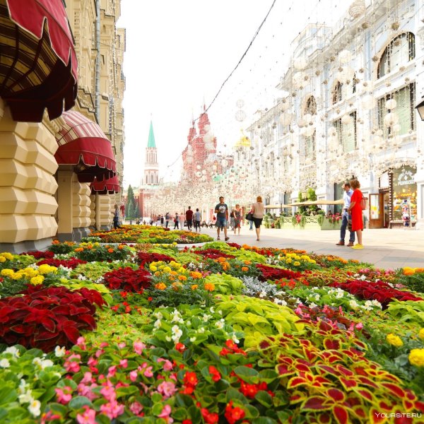 ГУМ Москва цветы