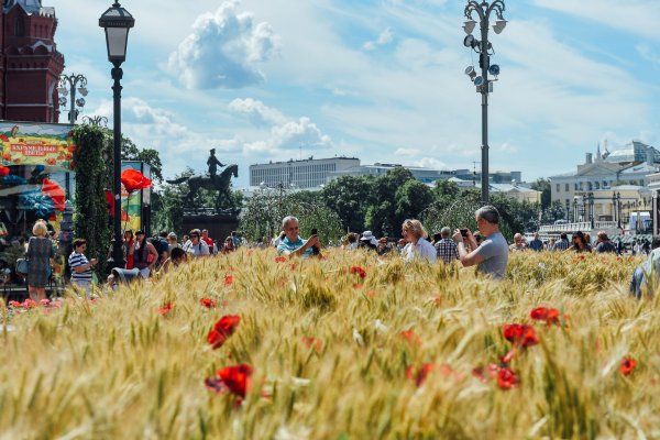 Москва август