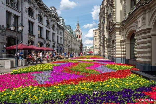 Цветы на Никольской улице в Москве