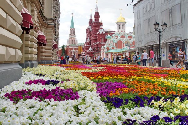 Парк Зарядье цветники
