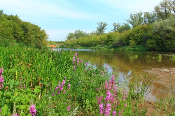 Село Сакмара Оренбургская область