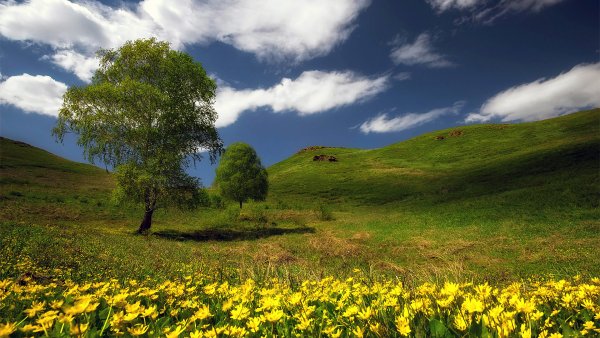 Природа Кувандыкского района Оренбургской области