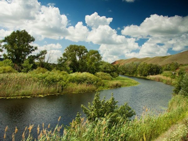 Пойма реки Урал