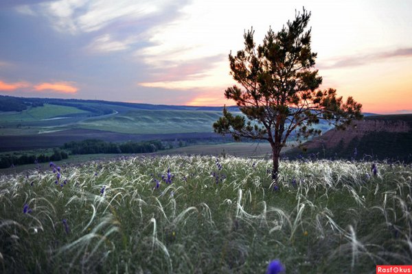Оренбургский заповедник пейзажи