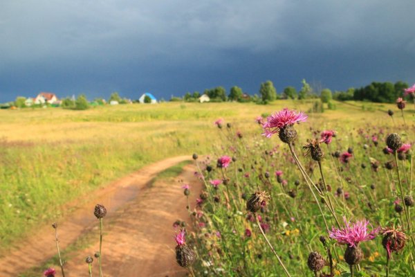 Жемчужина Оренбургской степи