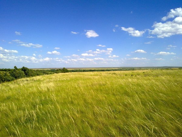 Мильская степь