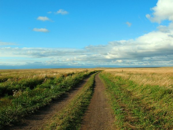 Казахстан трасса в степи