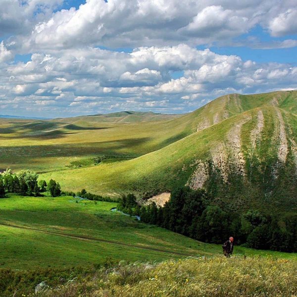Степь Оренбургская Кувандык