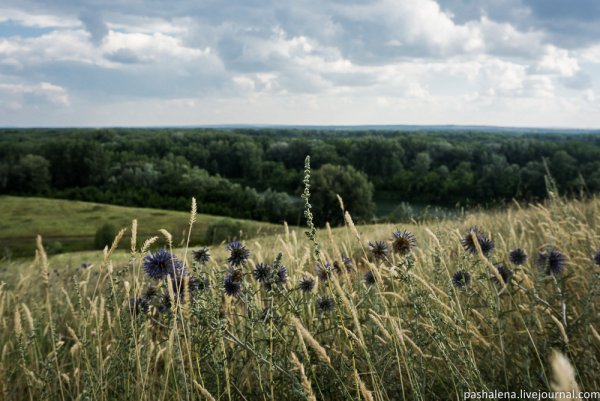 Реки степей Оренбурга