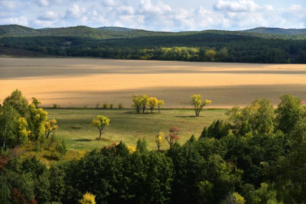 Природа Тюльганского района Оренбургской области
