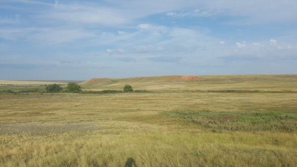 Донгузская степь Оренбургская область