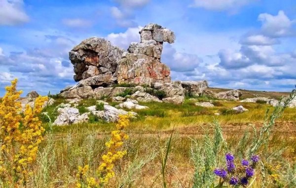 Гора верблюд Оренбургская область
