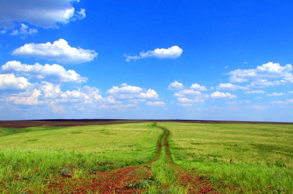 Простор оренбургских степей