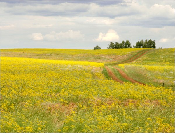 Г Орск Оренбургская область река