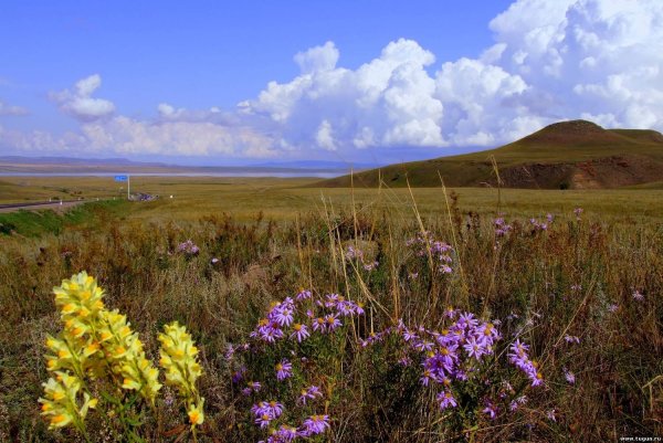 Степь восточного Оренбуржья