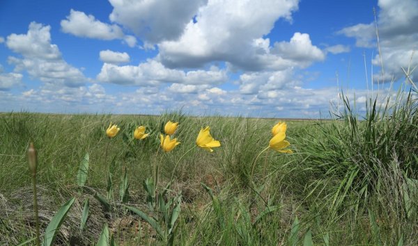 Река Губерля Оренбургская область