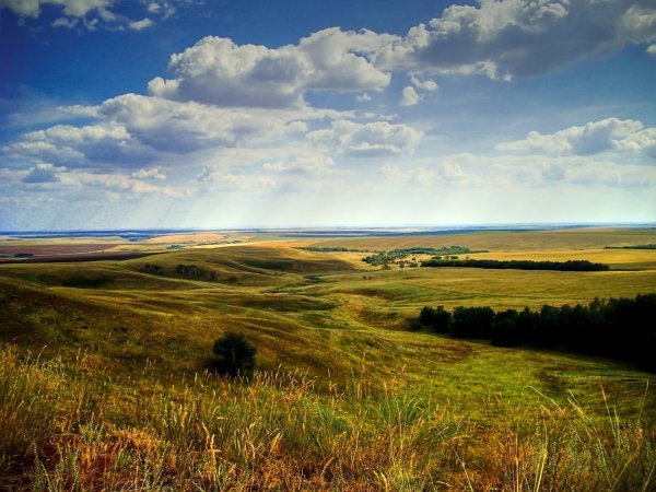 Оренбургские холмы Кувандыкский район