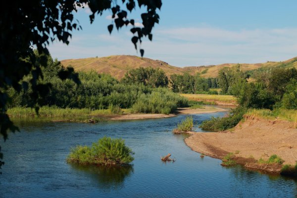 Луга Костромской области
