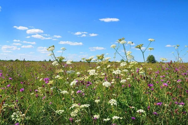 Осень на реке Урал Оренбург