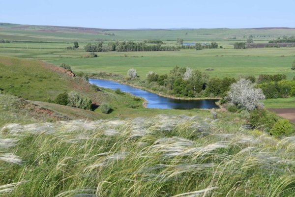 Оренбургская область