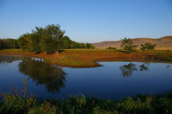 Берег реки Урал Оренбургская область