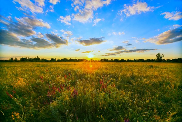 Пейзажи Оренбургской области