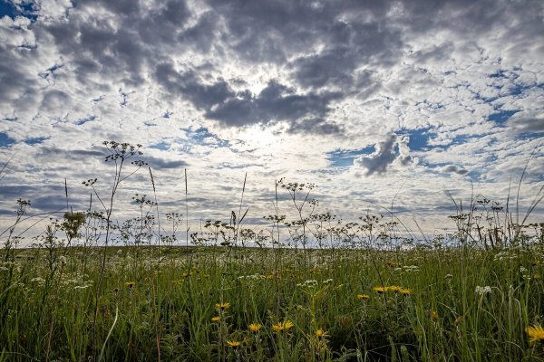 Степи Оренбургской области