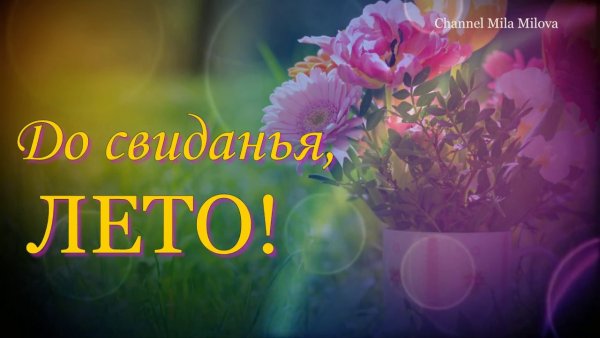 До свидания лето