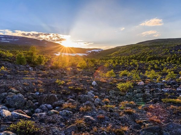 Полярная тундра Кольский полуостров